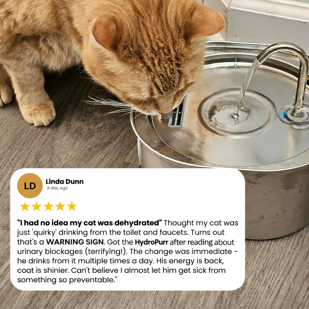 HydroPurr™ Stainless Steel Fountain HydroPurr™