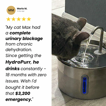 HydroPurr™ Stainless Steel Fountain HydroPurr™